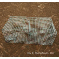 Repeating Sparrow Control Trap Wire Cage